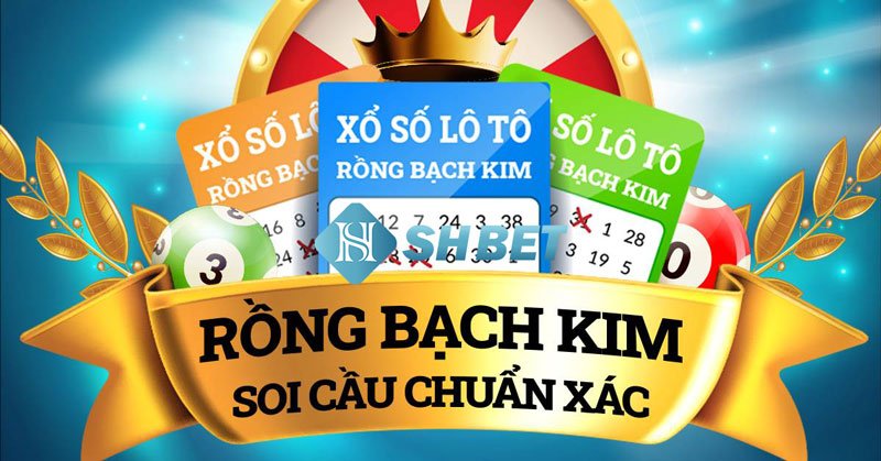 Lô chơi nhiều nhất Rồng bạch kim và cách soi cầu